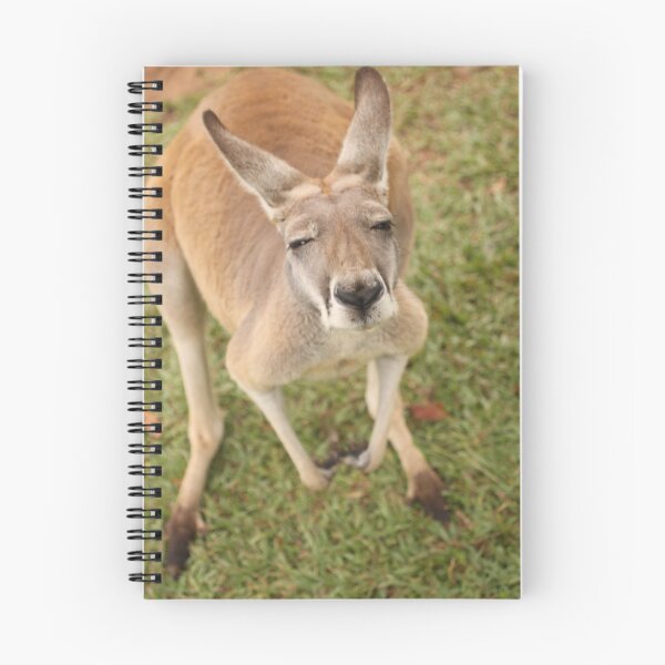 Item preview, Skippy! designed and sold by Steve Bullock.