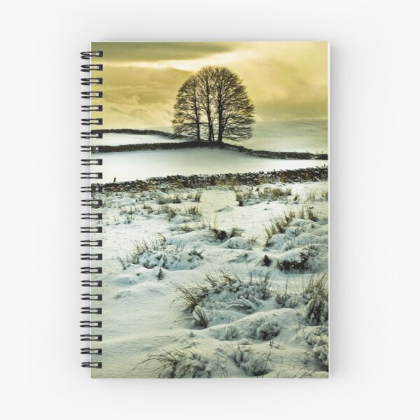 Item preview, Wintry Scene designed and sold by Jim Kernan.