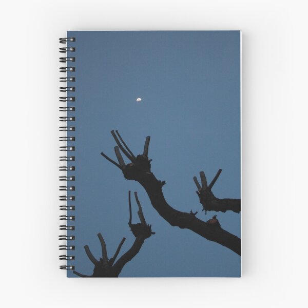 Item preview, Reaching for the Moon designed and sold by Alex Boros.