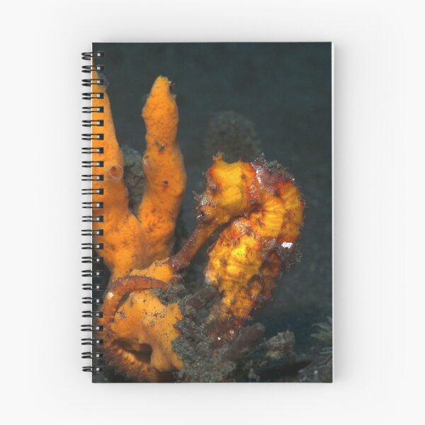 Item preview, common seahorse - hippocampus taeniopterus designed and sold by spyderdesign.