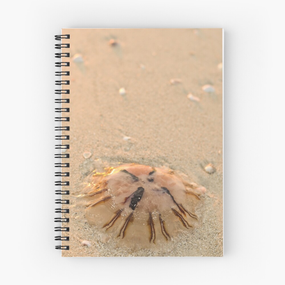 Vista previa del artículo con la obra «Cuaderno de espiral», diseñado y vendido por RVance.