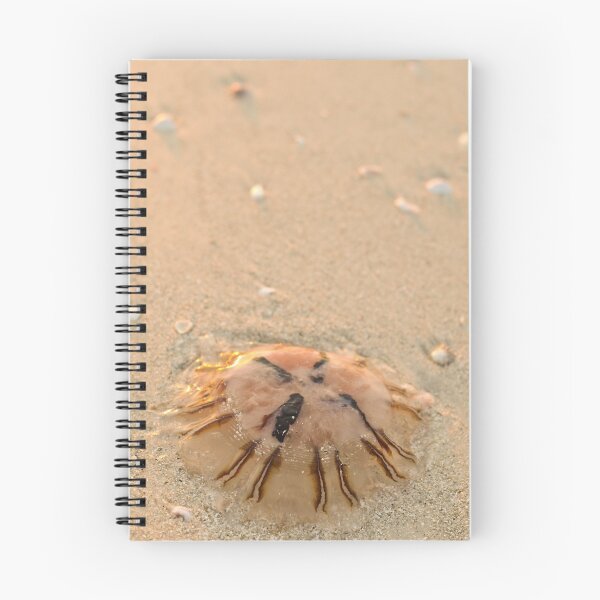 Item preview, JellyFish designed and sold by Rachelle Vance.