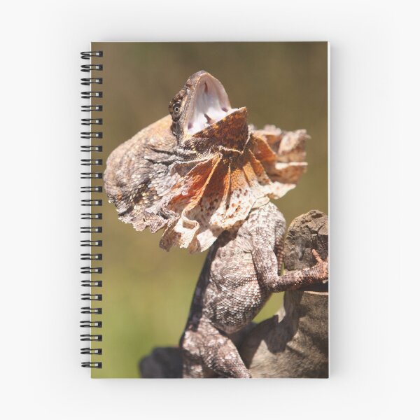 Item preview, Baby Frilled Lizard designed and sold by Steve Bullock.