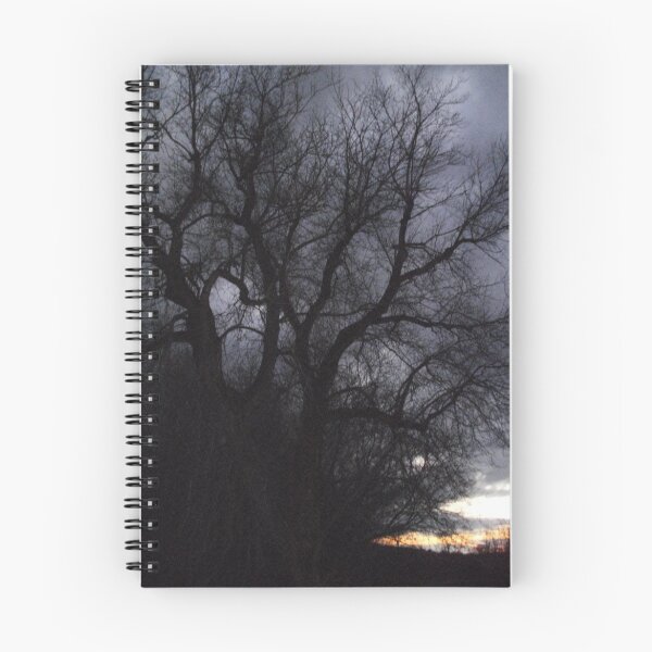 Item preview, Looking outside my back door! designed and sold by linmarie.
