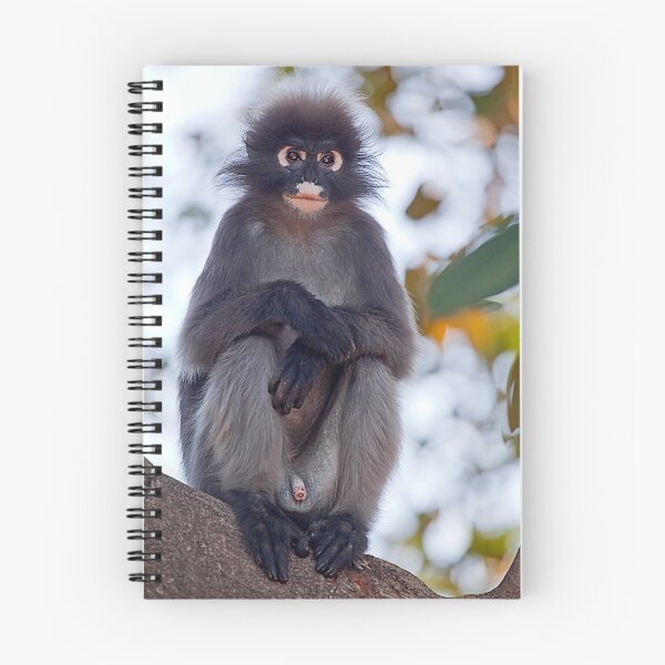 Item preview, Dusky Leaf Monkey designed and sold by Stuart Robertson Reynolds.