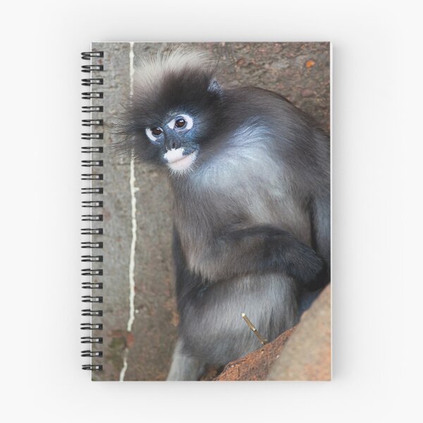 Item preview, Dusky Leaf Monkey designed and sold by Stuart Robertson Reynolds.