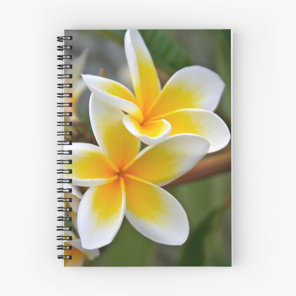 Item preview, Frangipani designed and sold by Kain Swift.