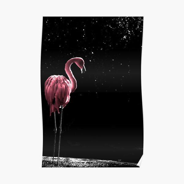 Flamingo in Pink Poster