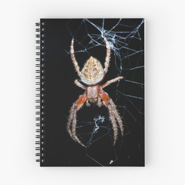 Item preview, Orb Weaver Spider designed and sold by GailD.