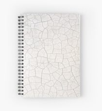 Cracked Spiral Notebook