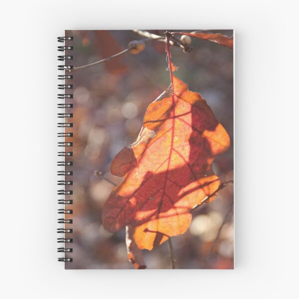 Item preview, Holding on designed and sold by Elspeth  McClanahan.