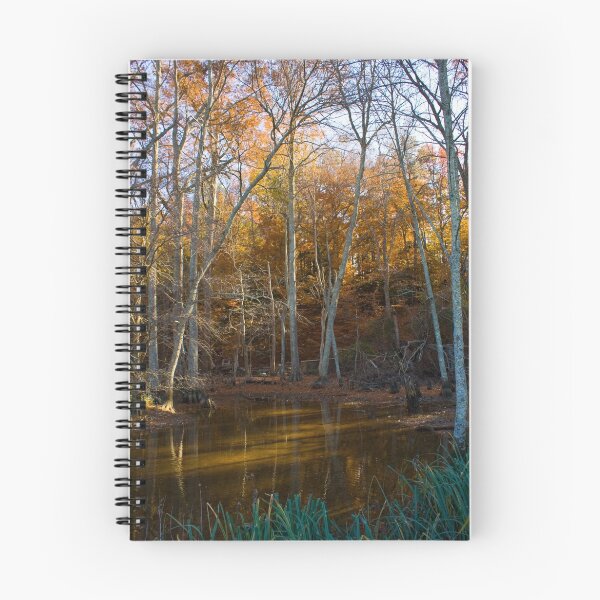 Artikelvorschau, Autumn Swamp entworfen und verkauft von crystalventerseye.