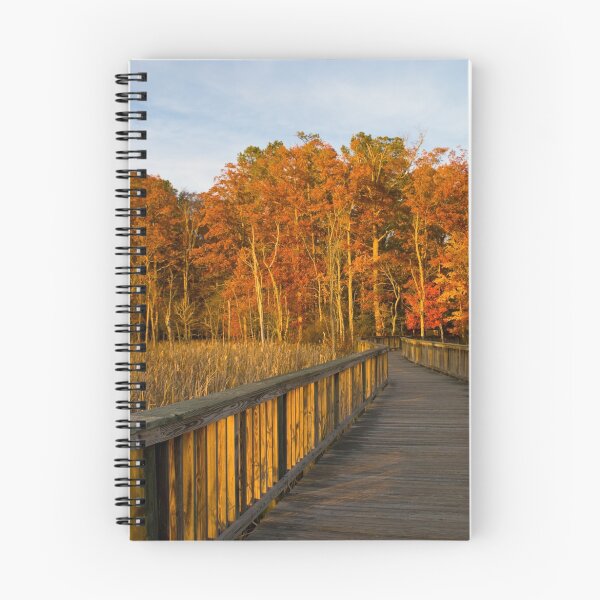 Item preview, Autumn Walk designed and sold by crystalventerseye.