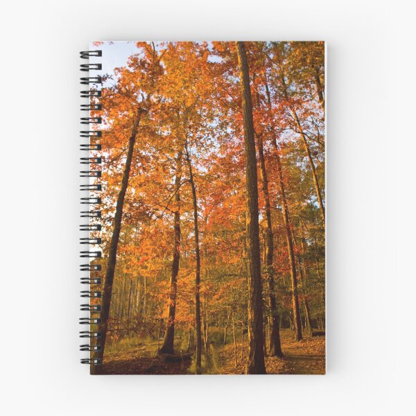 Item preview, Autumn Walk designed and sold by crystalventerseye.