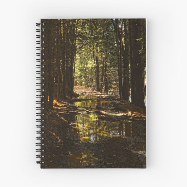 Item preview, Step Out of The Darkness designed and sold by Pamela Phelps.