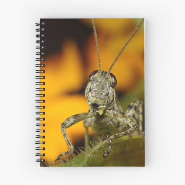 Item preview, Grass Hopper designed and sold by Rob Lavoie.