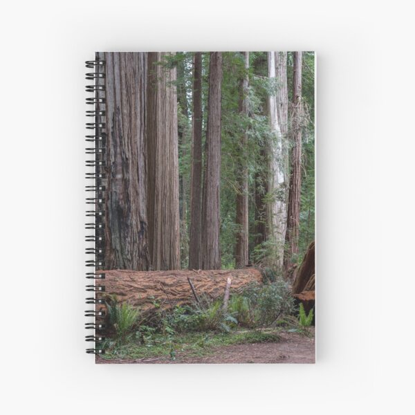Redwoods Spiral Notebook