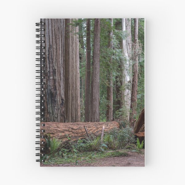 Item preview, Redwoods designed and sold by beland.