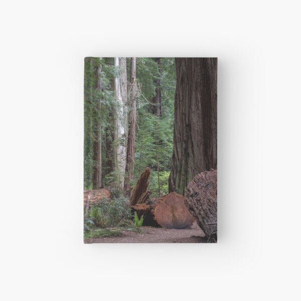 Redwoods Hardcover Journal