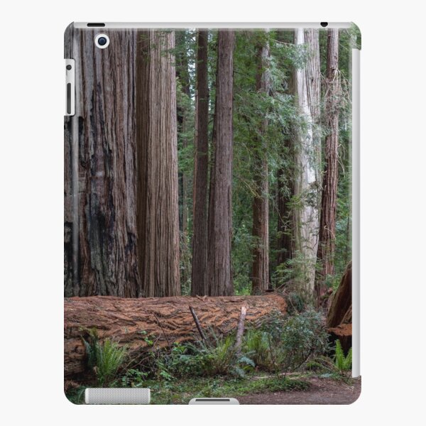 Redwoods iPad Snap Case