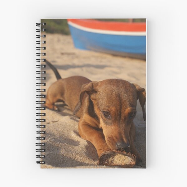 Item preview, Beach dog designed and sold by Tara Pirie.