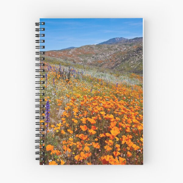 Item preview, Wildflowers in Wilson Canyon designed and sold by photosbyflood.