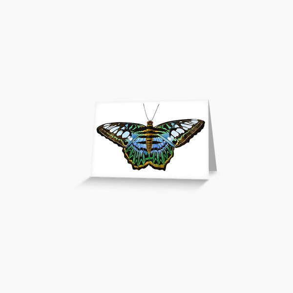 Item preview, The Blue Clipper Butterfly designed and sold by veroniquecole.