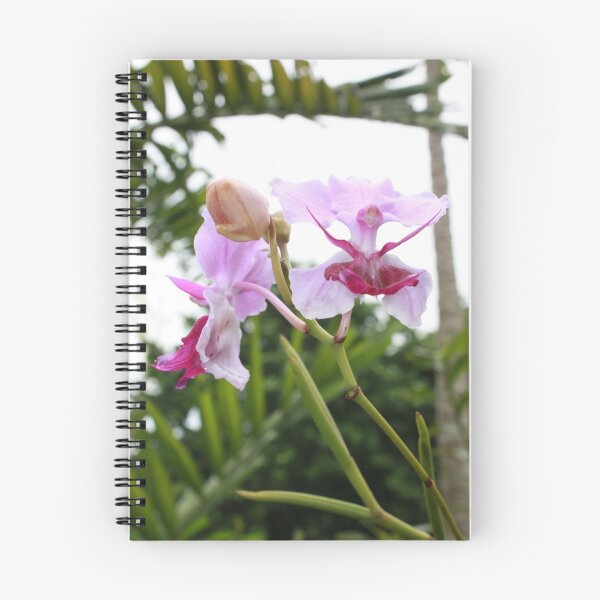 Item preview, PInk Orchids designed and sold by Bami.