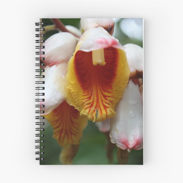Item preview, Close up of flower in Fiji designed and sold by Bami.