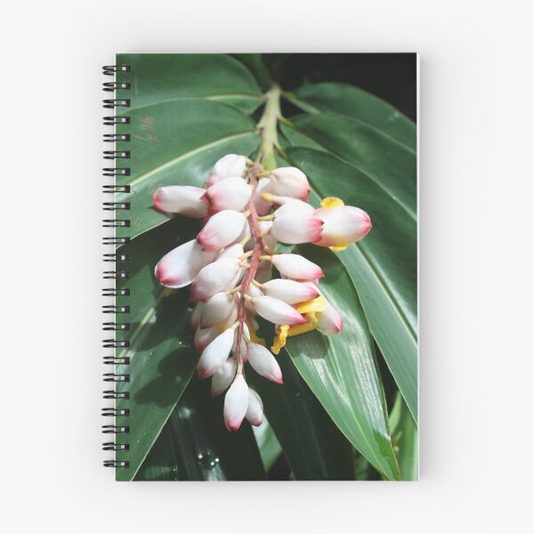 Item preview, Fabulous Flowers in Fiji designed and sold by Bami.