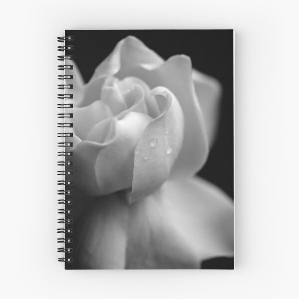 Item preview, Sensuous Rose designed and sold by Extraordinary Light.
