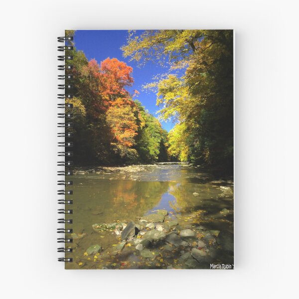Item preview, Autumn River designed and sold by Marcia Rubin.