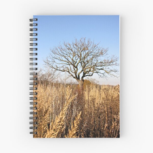 Item preview, Naked in the grass designed and sold by John Thurgood.