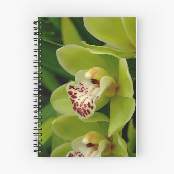 Item preview, Orchidée - Orkidé - Orquídea - Orchid - Orchidee designed and sold by Patje.