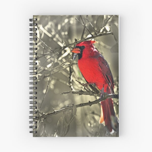 Item preview, Male Cardinal designed and sold by Barbara Manis.