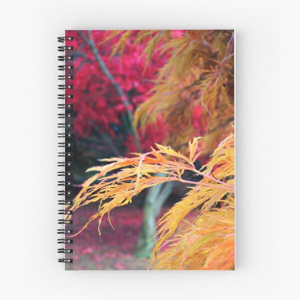 Item preview, Autumn Trees designed and sold by Frances McGarry.