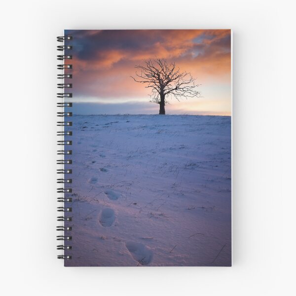 Item preview, Primera nevada de invierno ... designed and sold by David Mould.