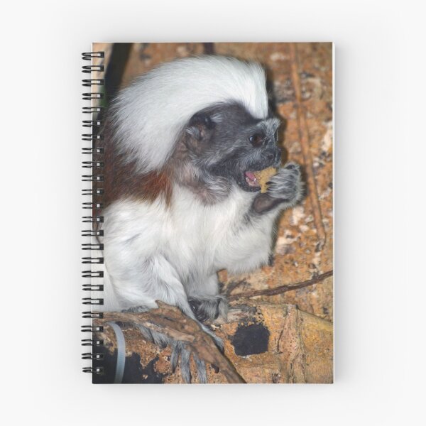 Item preview, Cotton-top Tamarin designed and sold by Savannah Gibbs.