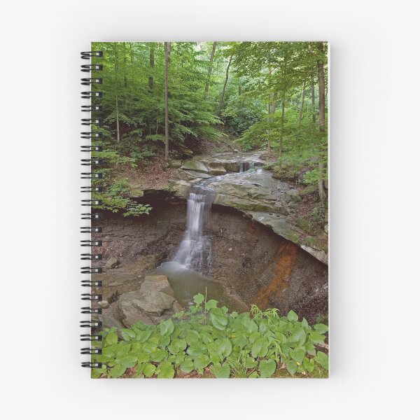 Item preview, Blue Henn Falls designed and sold by antonalbert1.