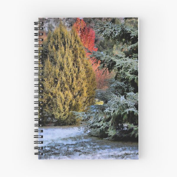 Item preview, first snow designed and sold by Jeannie Peters.