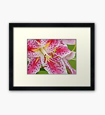 Flower Macro Framed Print