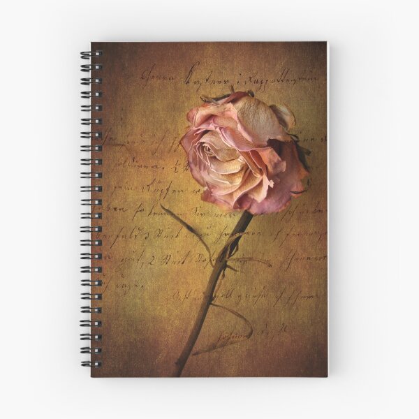 Item preview, Seule designed and sold by Jessica Jenney.