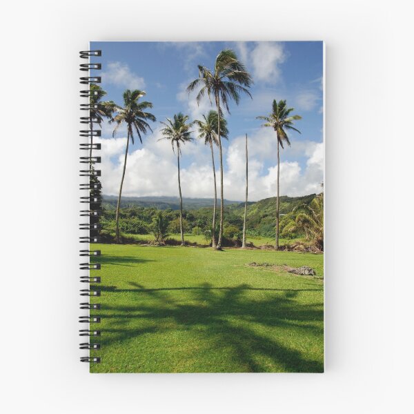 Artikelvorschau, Kokosnüsse in der Keanae-Kirche entworfen und verkauft von ZIGSPHOTOGRAPHY.