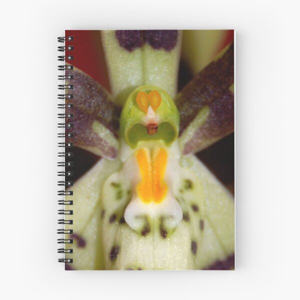 Item preview, An Orchids Face designed and sold by ZIGSPHOTOGRAPHY.