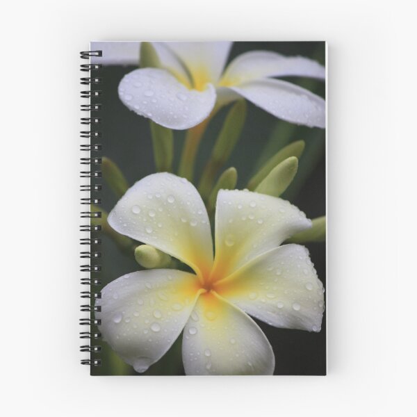 Item preview, Morning dew designed and sold by Candy Gemmill.