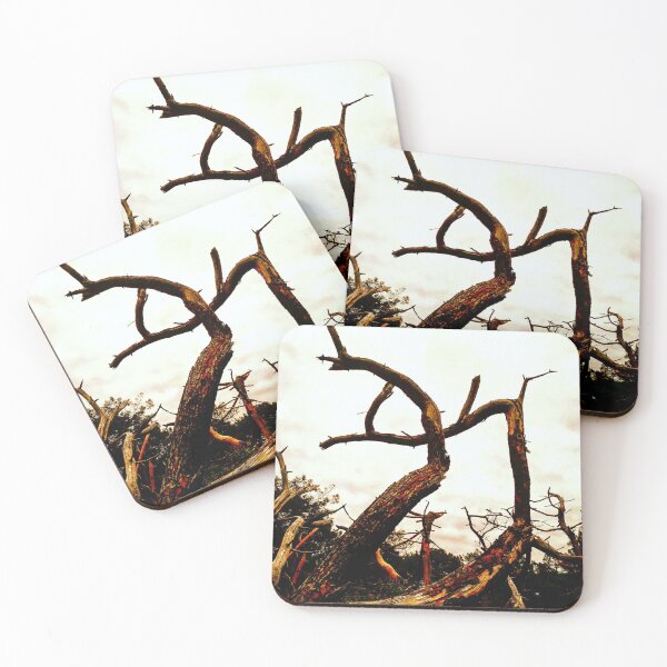 Item preview, Western France WF150 designed and sold by Hyperion Photoart.