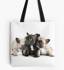 Frenchie Pals Tote Bag