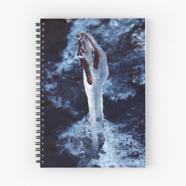 Item preview, Ice captured catkin designed and sold by Anne Kingston.