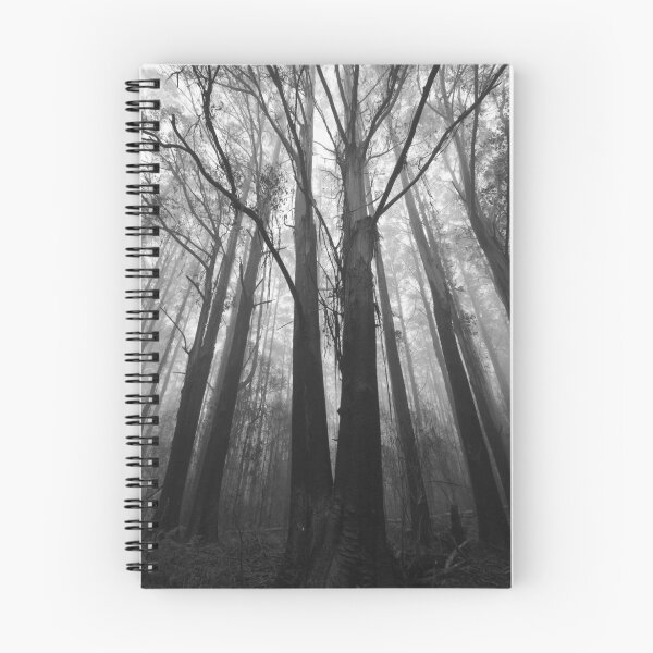 Item preview, Misty Trees designed and sold by Sean Farrow.