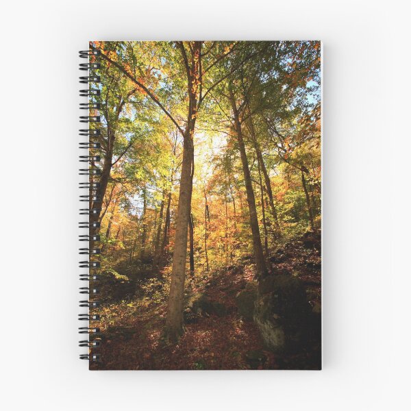 Item preview, Discover the Light designed and sold by Lisa Putman.